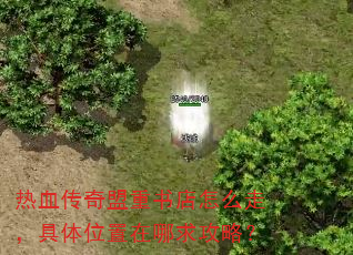 热血传奇盟重书店怎么走,具体位置在哪求攻略? 热血传奇盟重书店怎么走,具体位置在哪求攻略?