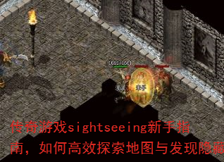������Ϸsightseeing����ָ�ϣ���θ�Ч̽����ͼ�뷢�����ؾ��㣿