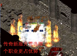 �����·�����ѡ�ĸ�ְҵ��ռ���ƣ�