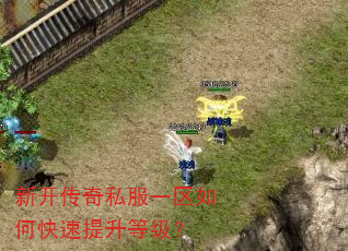 新开传奇私服一区如何快速提升等级? 新开传奇私服一区如何快速提升等级?