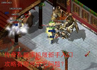 传奇私服手机版新手入门攻略有哪些常见问题? 传奇私服手机版新手入门攻略有哪些常见问题?