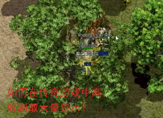 如何在传奇游戏中高效刷取大量泉水? 如何在传奇游戏中高效刷取大量泉水?