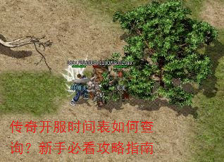 传奇开服时间表如何查询?新手必看攻略指南 传奇开服时间表如何查询?新手必看攻略指南