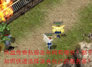 热血传奇私服发布网有哪些?新手如何快速选择适合自己的服务器? 热血传奇私服发布网有哪些?新手如何快速选择适合自己的服务器?
