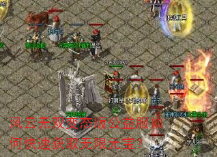 风云无双变态版公益服如何快速获取无限元宝? 风云无双变态版公益服如何快速获取无限元宝?