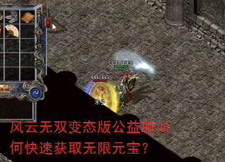 风云无双变态版公益服如何快速获取无限元宝? 风云无双变态版公益服如何快速获取无限元宝?