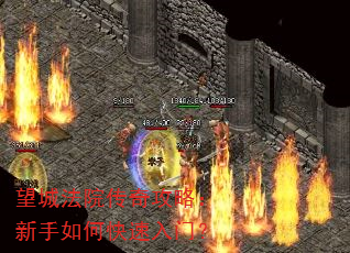 望城法院传奇攻略:新手如何快速入门? 望城法院传奇攻略:新手如何快速入门?