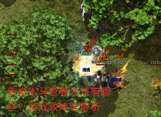 传奇木马查看方法有哪些?游戏攻略全解析 传奇木马查看方法有哪些?游戏攻略全解析