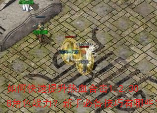 如何快速提升热血合击1.2.308角色战力?新手必备技巧有哪些? 如何快速提升热血合击1.2.308角色战力?新手必备技巧有哪些?