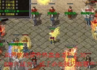 如何快速提升热血合击1.2.308角色战力?新手必备技巧有哪些? 如何快速提升热血合击1.2.308角色战力?新手必备技巧有哪些?