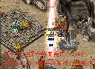 如何快速提升热血合击1.2.308角色战力?新手必备技巧有哪些? 如何快速提升热血合击1.2.308角色战力?新手必备技巧有哪些?